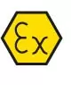 Ex.jpg.webp