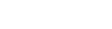 SylSecure Pro
